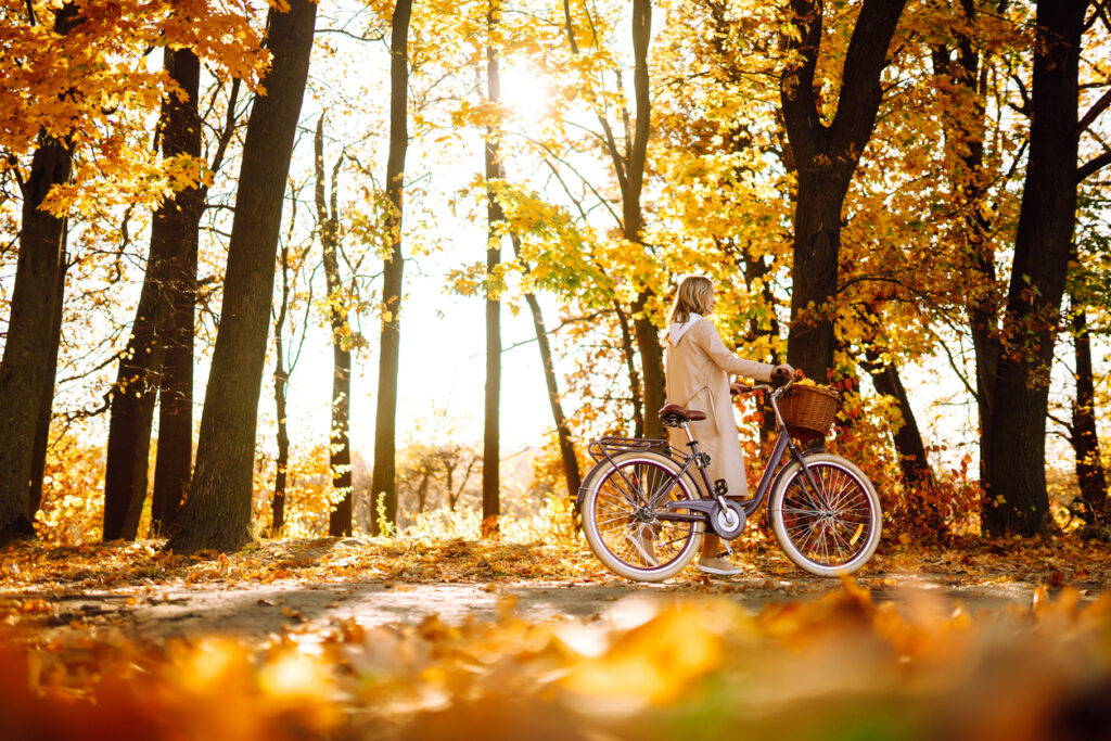 Bike in forest